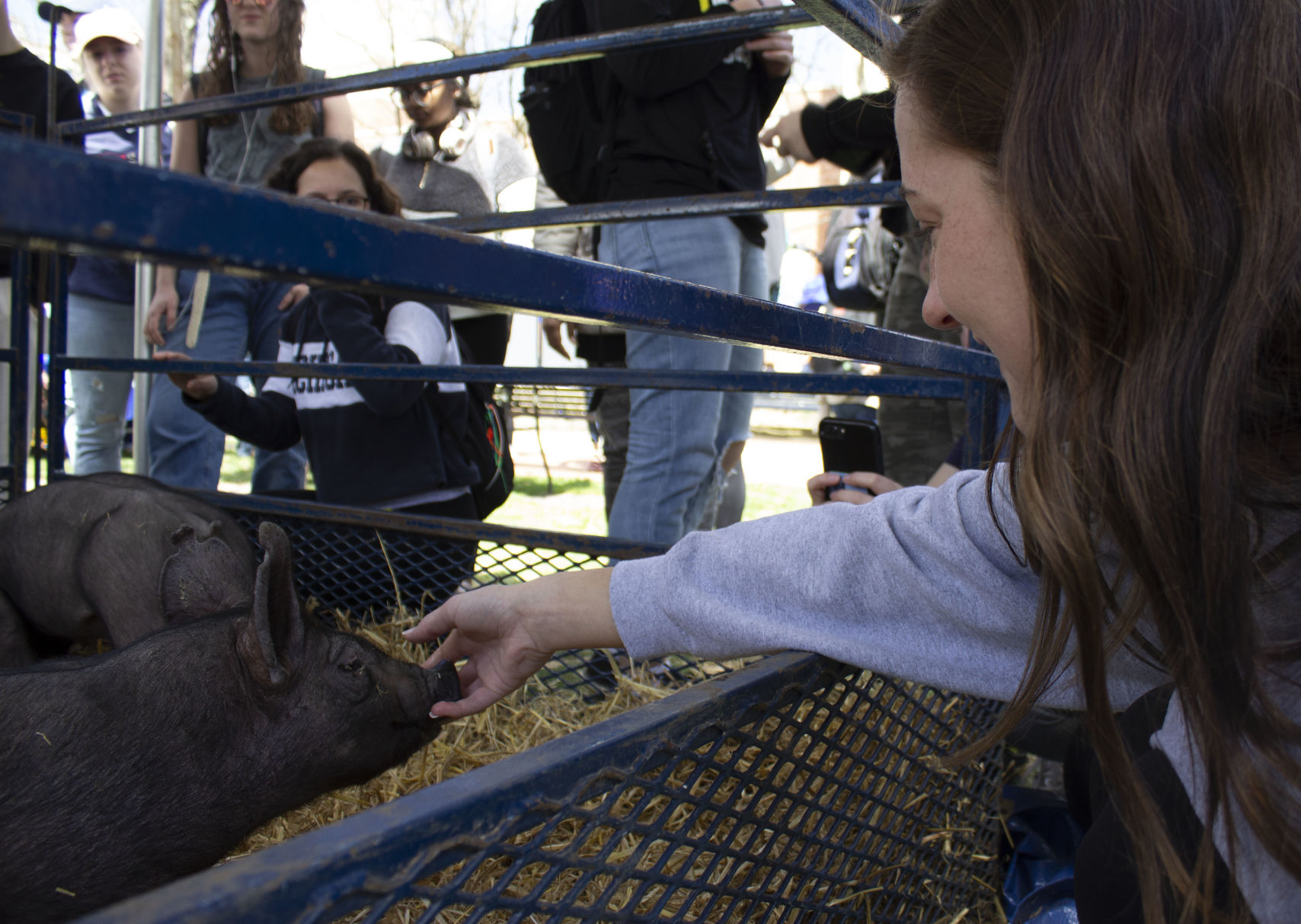 Ag Day, Sydney Hamilton